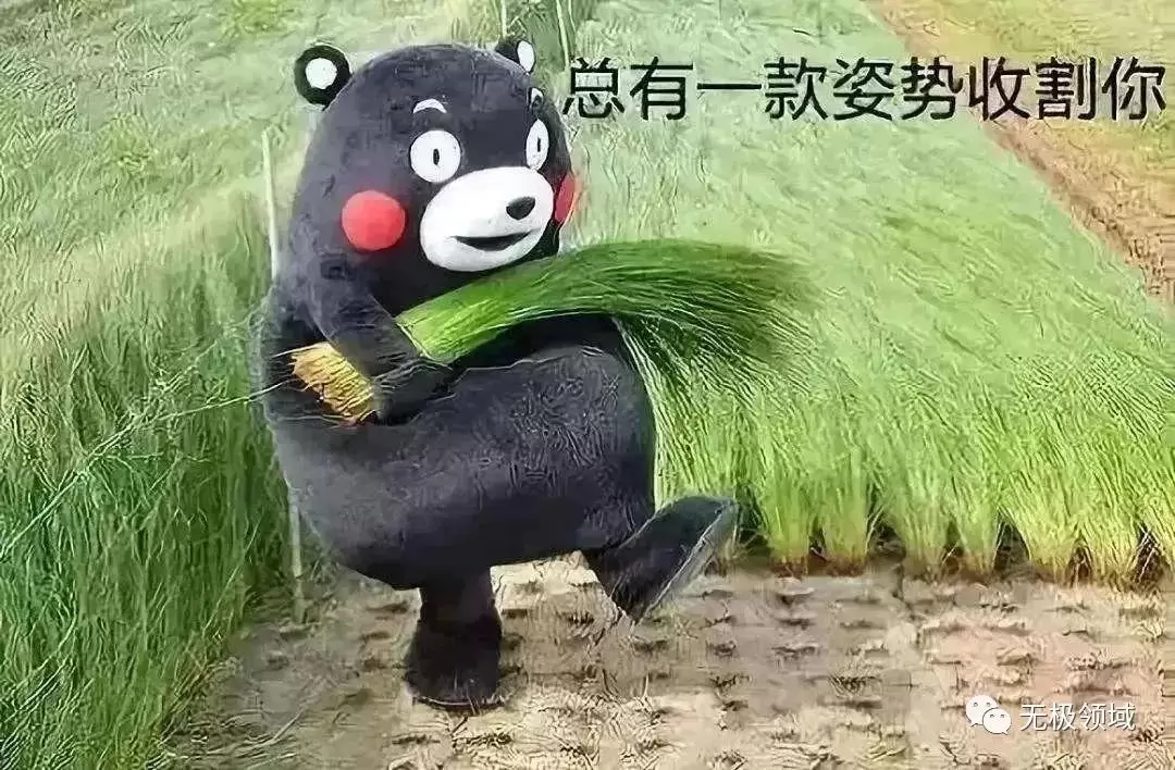 割韭菜即正義為什麼你是個廢物？