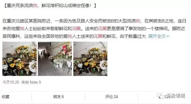 割韭菜即正義為什麼你是個廢物？