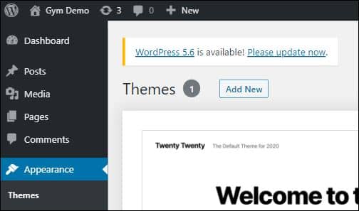 从 WordPress 仪表板，转到外观主题，单击添加新