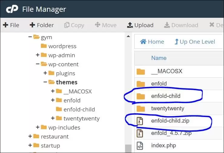 通过 cPanel 安装 Enfold 子主题