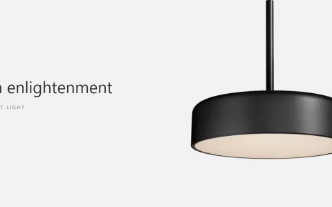 WordPress英文Goya主题测评