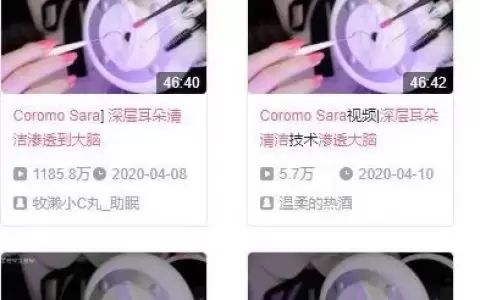 副業躺賺亞文化小眾項目