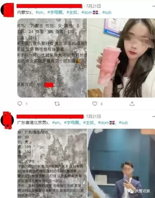 副業躺賺亞文化小眾項目