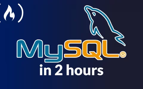 最新MySQL新手教程（2026版）