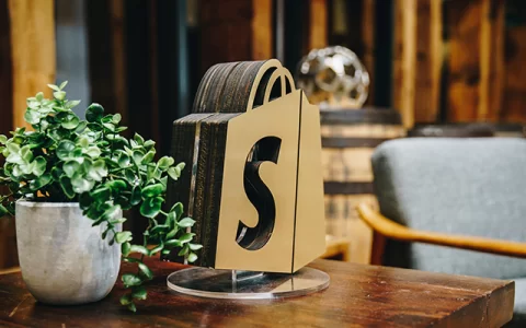 2022 使用Debutify Shopify主题搭建跨境电商网站教程