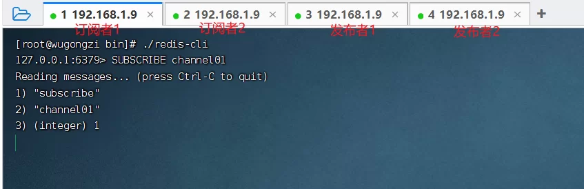2026 C#开发人员Redis高级指南 1
