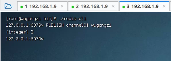 2026 C#开发人员Redis高级指南 2