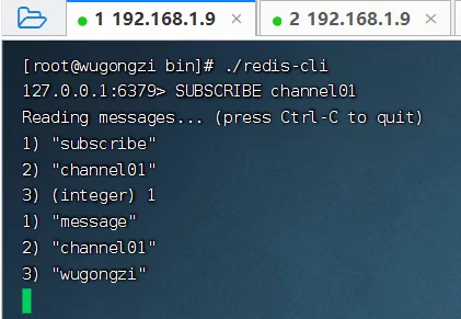 2026 C#开发人员Redis高级指南 3