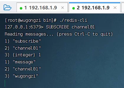 2026 C#开发人员Redis高级指南 4
