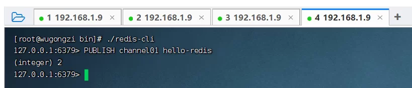 2026 C#开发人员Redis高级指南 5