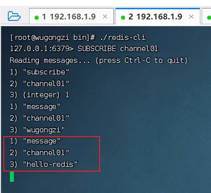 2026 C#开发人员Redis高级指南 7