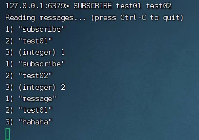 2026 C#开发人员Redis高级指南 8