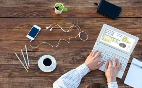 数据分析师职业指南