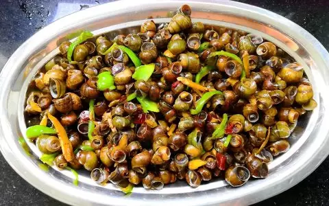 2026 炒田螺经典做法