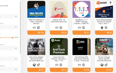 2024各类便宜国外VPN密钥哪儿有卖？