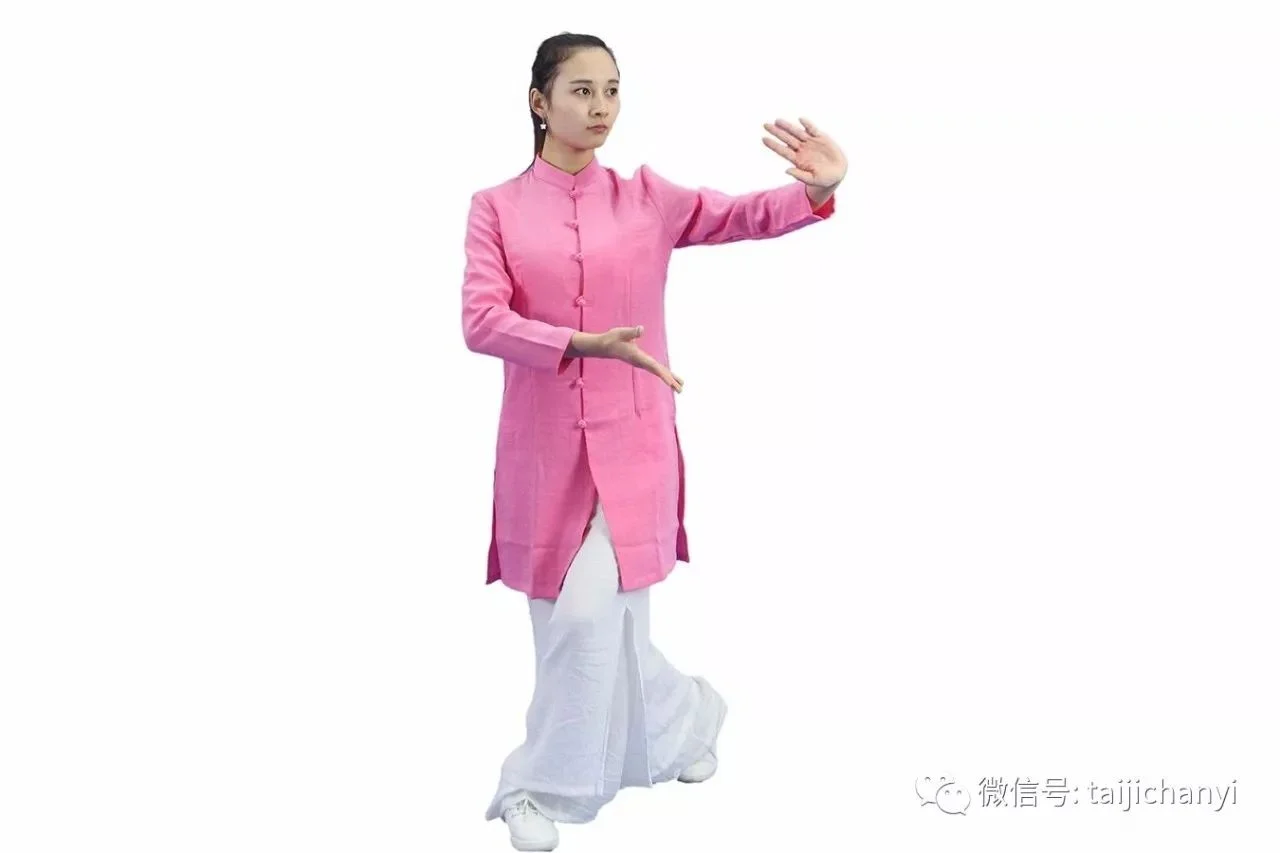 太极拳的心灵鸡汤喝一碗呗 1