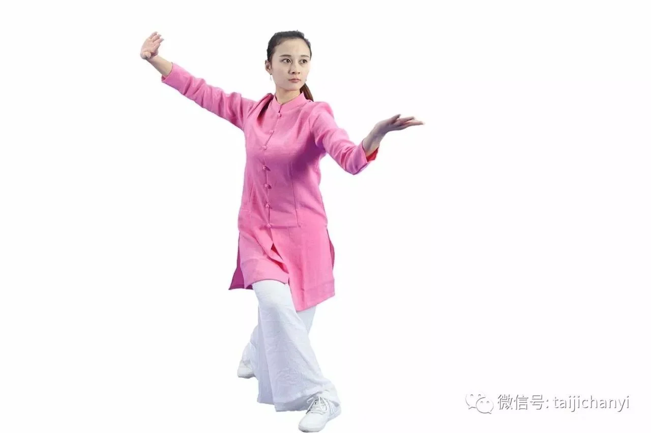 太极拳的心灵鸡汤喝一碗呗 2