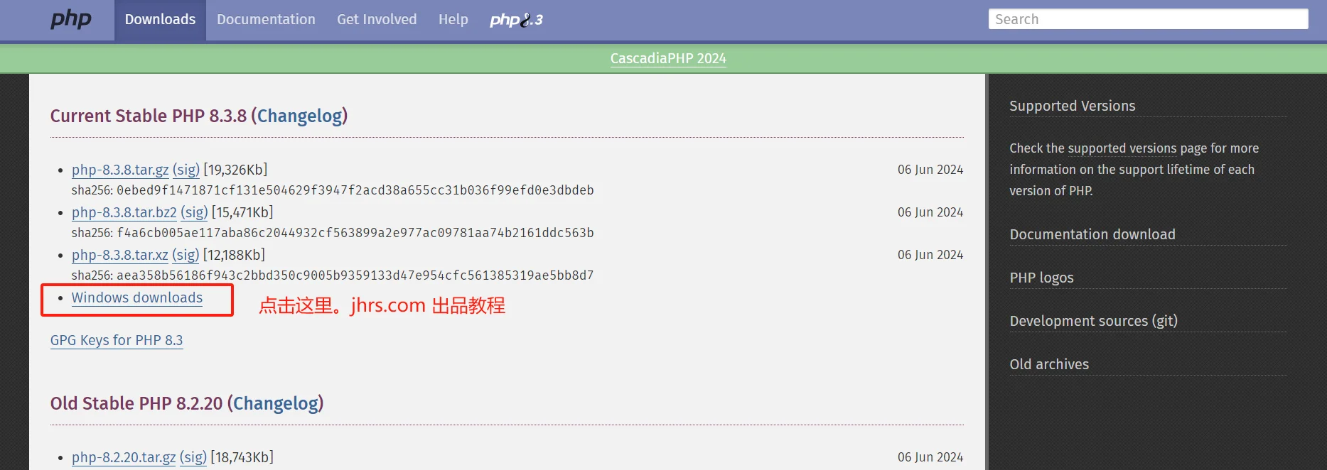 2026 Windows 11 安装 PHP环境教程 1