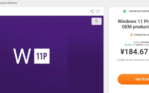 最便宜正版Windows 11 激活码