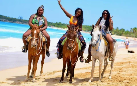 蓬塔卡纳旅游指南