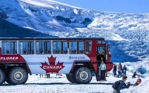 2026 最便宜哥伦比亚冰川天空步道门票网站推荐