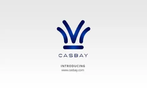 2025 马来西亚VPS推荐，Casbay支持TikTok与GPT解锁